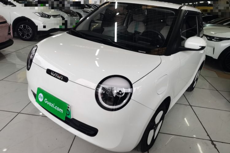 Used Qiyuan Lumin 2023 205km Xiangqin Version