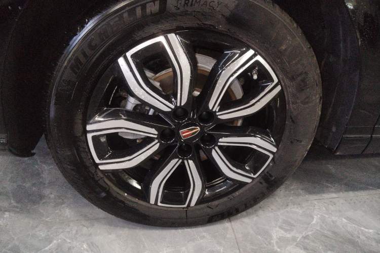 Used Hongqi HQ9 2024 2.0T Business Edition