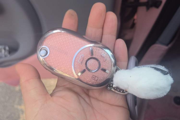 Used Bestune Pony 2025 222km Clever Horse