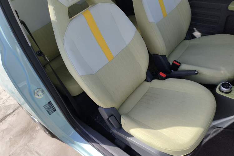 Used  Panda 2024 Panda Mini 200km Endurance Bear
