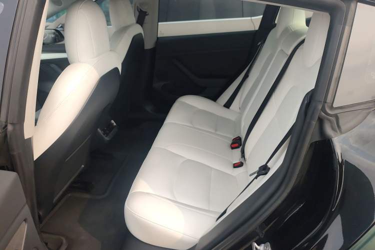 Used Tesla Model 3 2021 Standard Range Rear-Wheel Drive Upgraded Version 3D6
