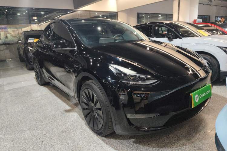Used Tesla Model Y 2023 Long-Range All-Wheel-Drive Version
