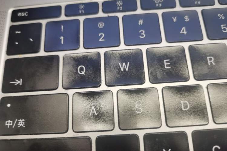 Used Audi A5 2023 Coupe 40 TFSI Fashionable and Dynamic Model
