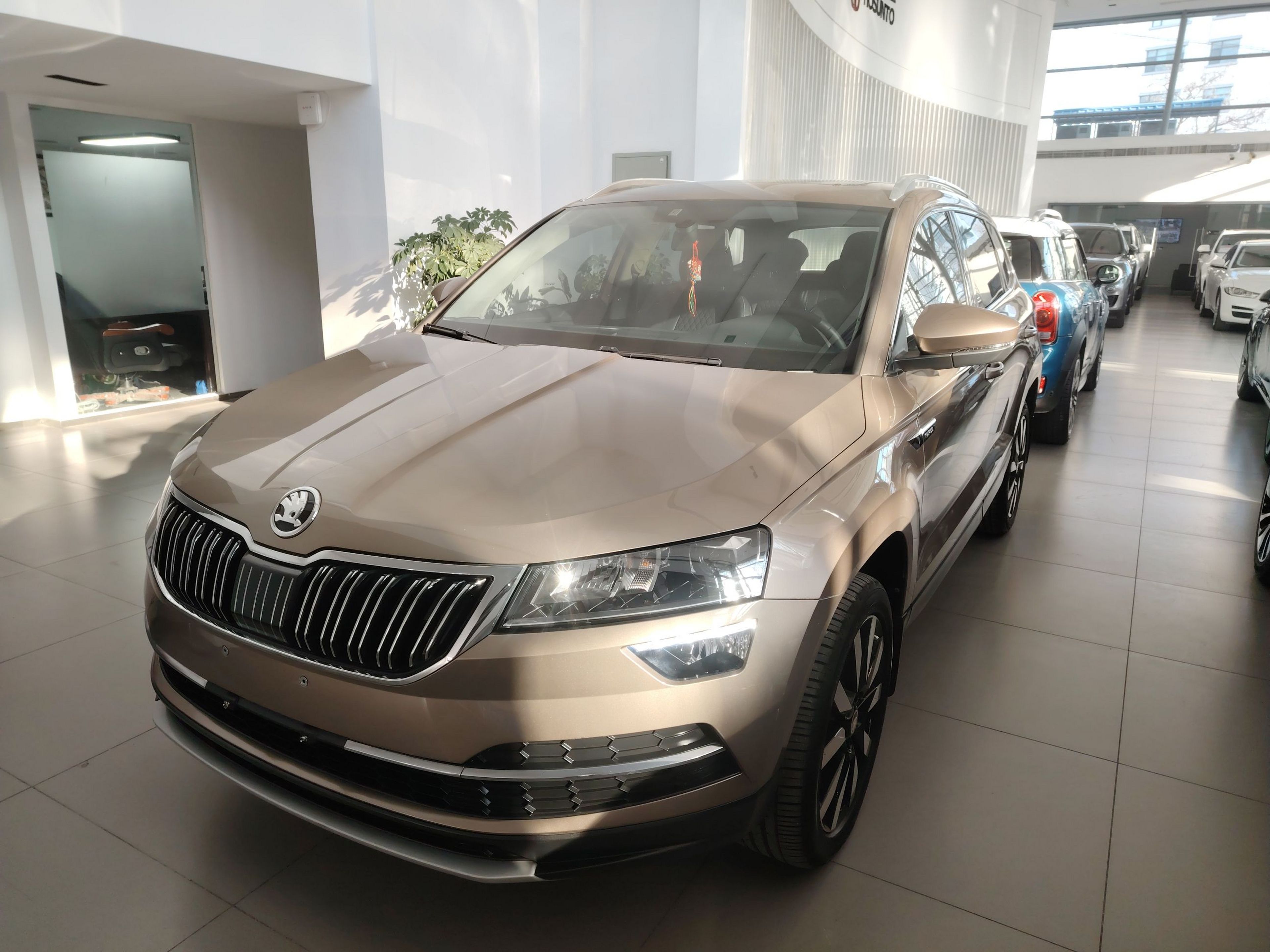 تحت مقدمة السيارة