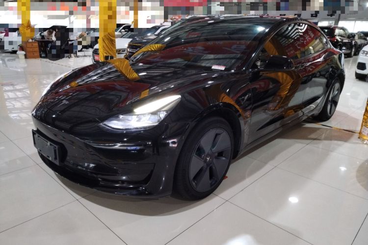 Used Tesla Model 3 2021 Standard Range Rear-Wheel Drive Upgraded Version 3D6
