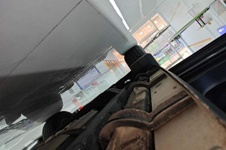 Used Tank 300 2024 2.0T Conqueror