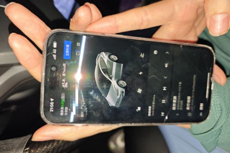 Used Tesla Model X 2020 Long-Range Upgrade Version