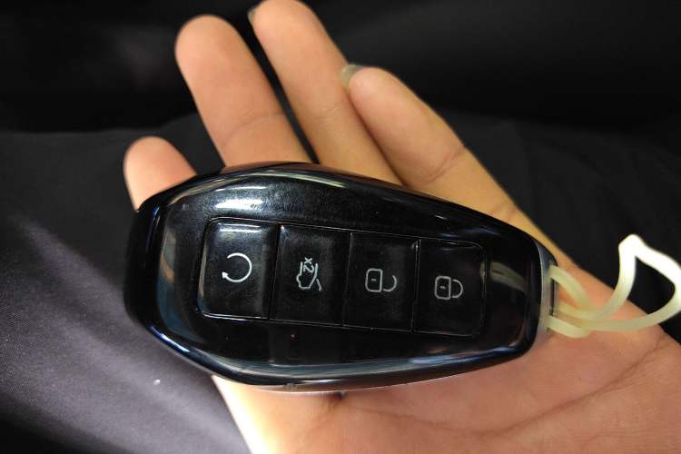 Used Denza Z9 2024 1100 km Four-Wheel Drive Max Version