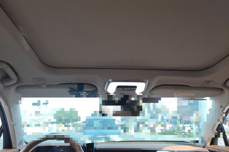 Used Hongqi H9 2020 2.0T Smart Connect Flagship Edition