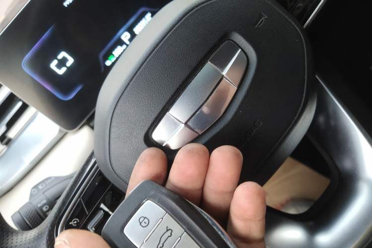 Used Geometry E Firefly 2023 401KM Linglong Tiger 5-Seater