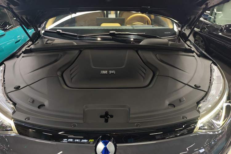 Used Denza N8 2023 Four-Wheel Drive Ultra-Hybrid Flagship Six-Seater Version
