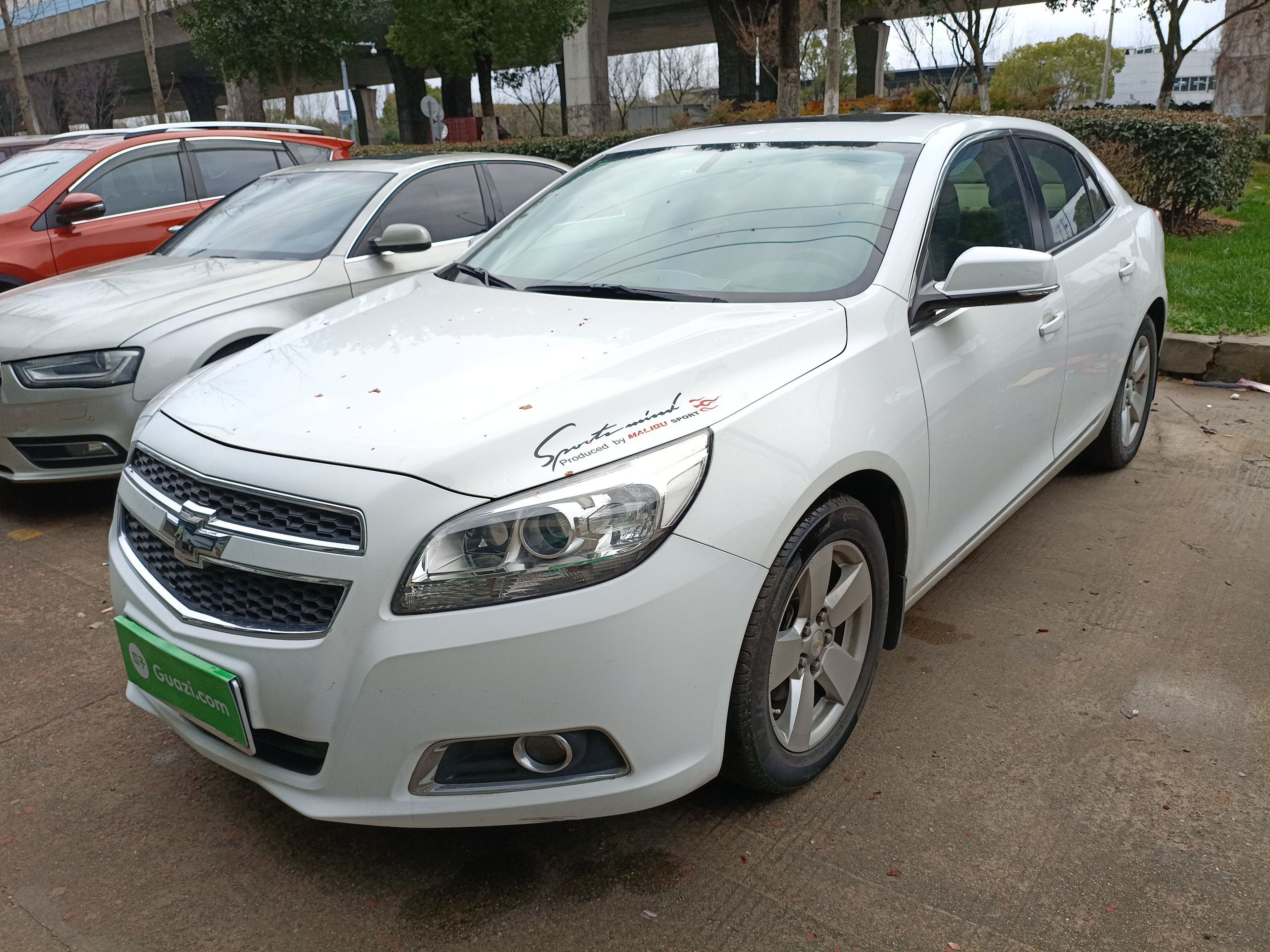 تحت مقدمة السيارة