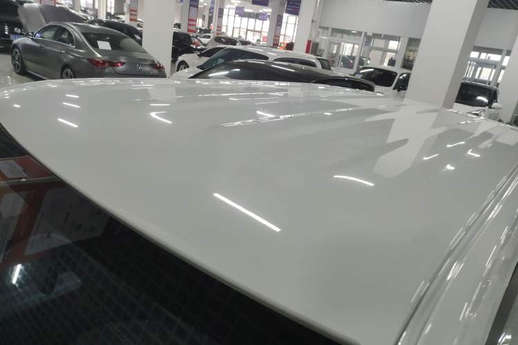 Used  Panda 2024 Panda Mini 200km Endurance Bear
