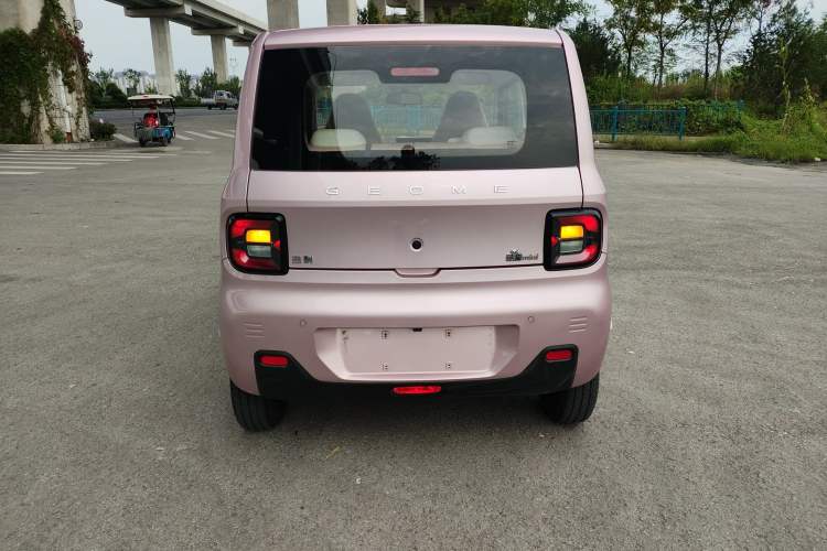 Used  Panda 2024 Panda Mini 200km Longteng PRO Edition
