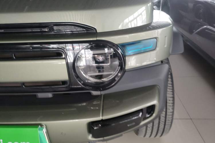 Used  V23 2025 401 Two-Wheel Drive Advanced Edition
