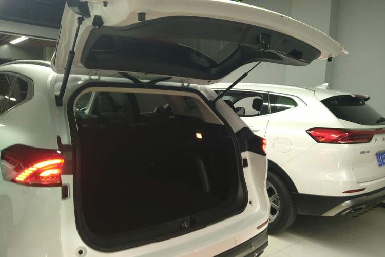 Used Haval H6 2021 National Trend Edition 1.5T Automatic Champion Version