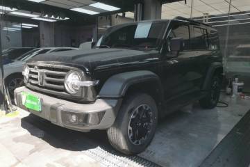 Used Tank 300 New Energy 2025 Hi4-T