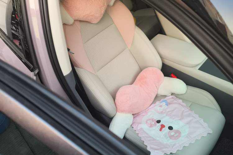 Used Lynk & Co 06 EM-P 2023 EM-P 126 Long-Range Halo
