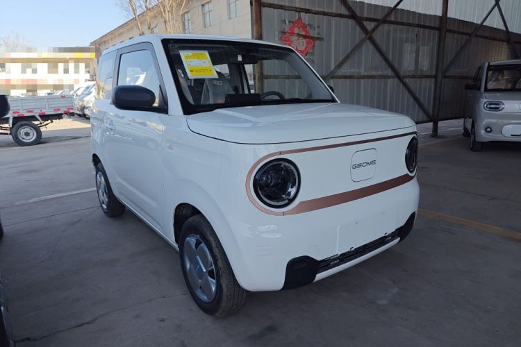 Used  Panda 2024 Panda Mini 200km Endurance Bear