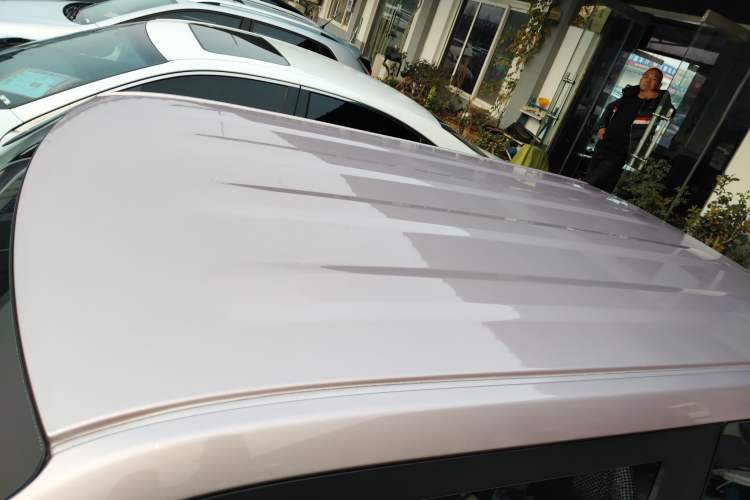 Used  Panda 2023 Panda Mini 200km Endurance Bear