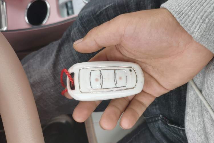 Used  Panda 2023 Panda Mini 200km Endurance Bear
