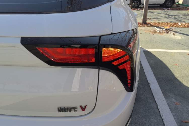 Used NETA V 2022 Chao 300 Lite Lithium Iron Phosphate
