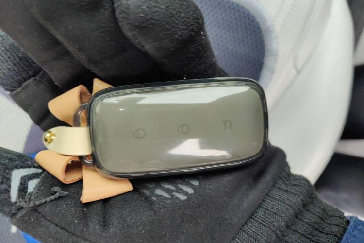 Used  L7 2023 1.5T 115 km Starship