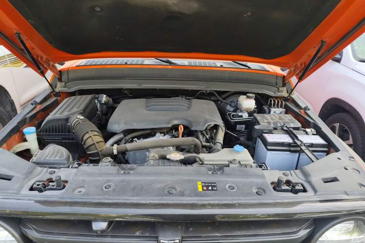 Used Tank 300 2021 Off-Road Edition 2.0T Conqueror