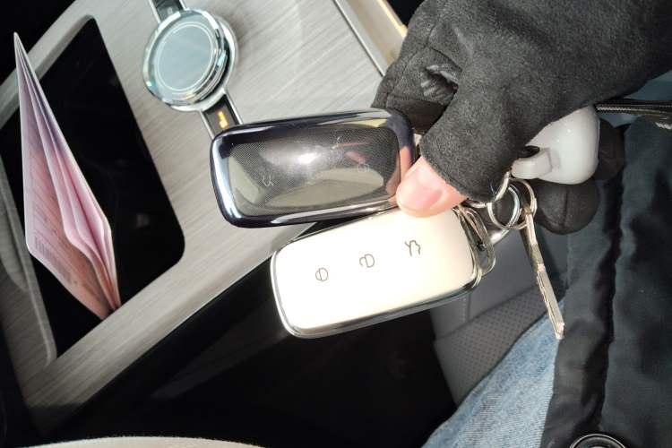 Used  E8 2024 665 km Range Rear-Drive Starship Long-Range Version
