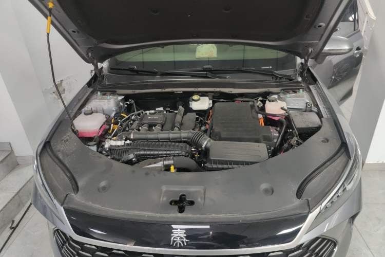 Used BYD Qin PLUS 2025 DM-i Smart Drive 55KM Leading Model
