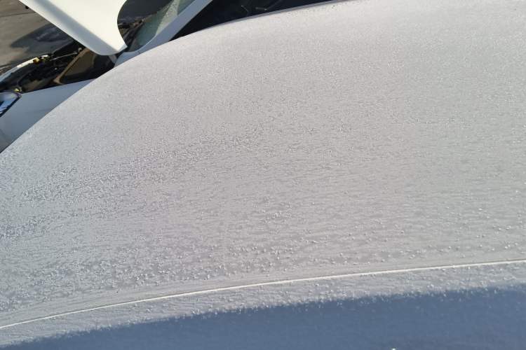 Used Volkswagen Lavida 2019 Lavida Start 1.5L Automatic Trendy Version China VI Standard