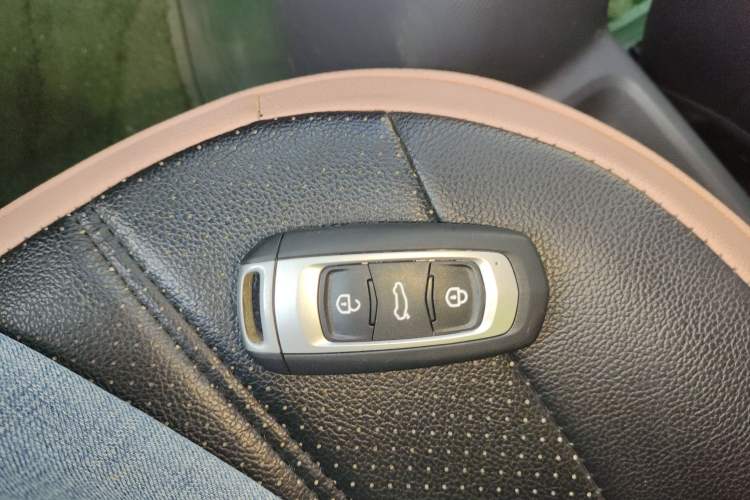 Used  Panda 2024 Panda Mini 200km Endurance Bear
