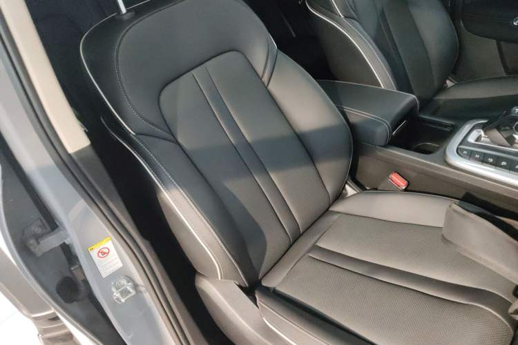 Used Tank 300 2024 2.0T Conqueror