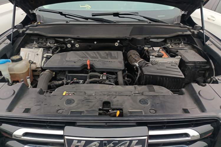 Used Haval DARGO 2021 1.5T DCT Two-Wheel Drive Border Collie - Wangcai Edition
