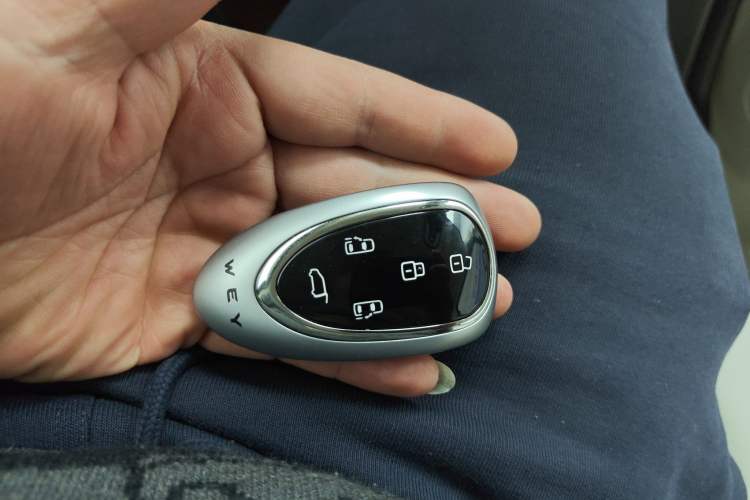 Used Wey Gaoshan 2025 Four-Wheel Drive Alpine 8