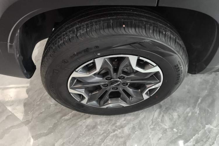 Used Haval DARGO 2024 2.0T DCT Chinese Rural Dog Edition
