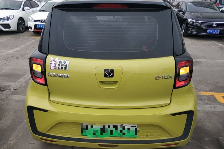 Used SOL E10X 2022 Flower Fairy Style Baby's Breath
