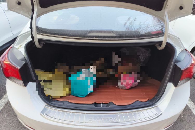 Used Hyundai Elantra 2016 1.6L Automatic Prestige Edition
