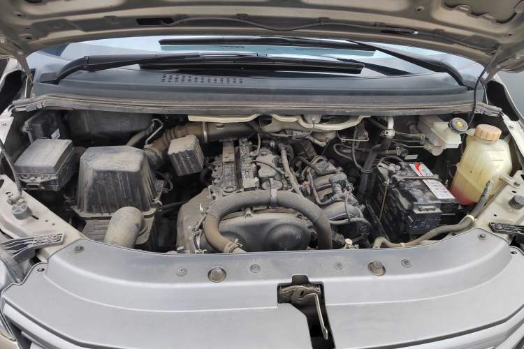 Used FORTHING Lingzhi 2021 M5L 2.0L Utility Model