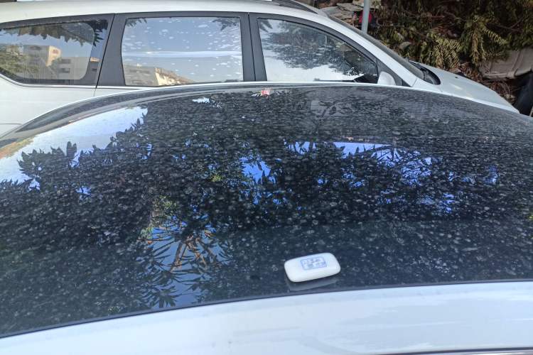 Used  L6 2023 125km Starship