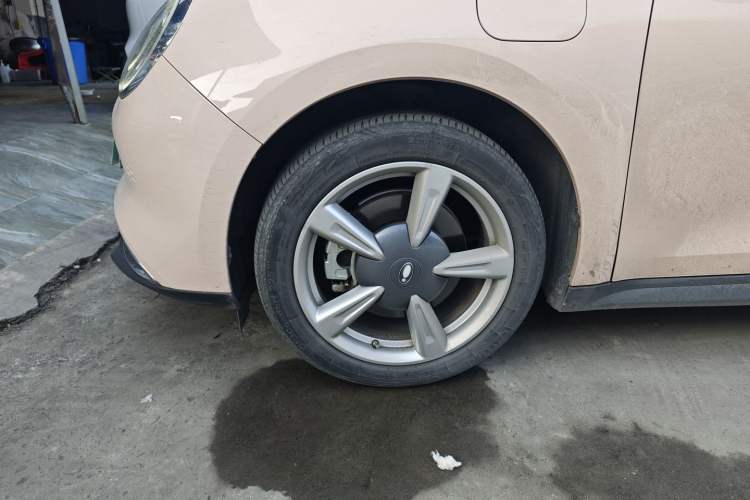 Used ORA Good Cat 2021 400km Standard Range Venus Edition Lithium-Ion Battery
