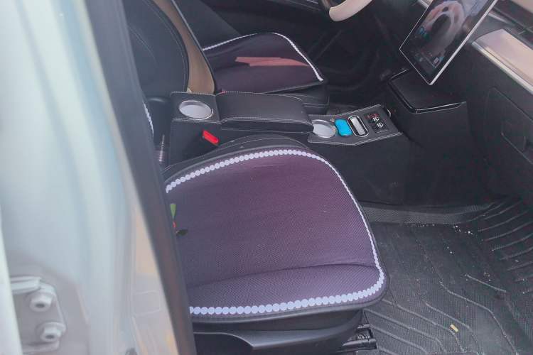 Used NETA V 2021 Standard Range Version