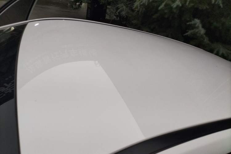 Used NETA V 2021 Long-Range Entertainment Edition Upgrade Model
