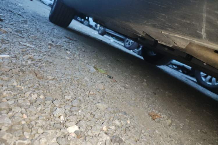 Used BYD Qin PLUS 2025 DM-i Smart Drive 55KM Beyond Model
