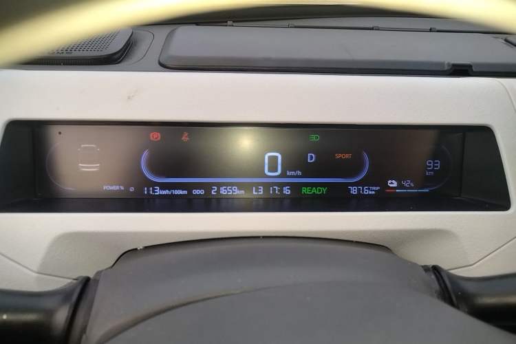 Used  Panda 2024 200km Panda Rider