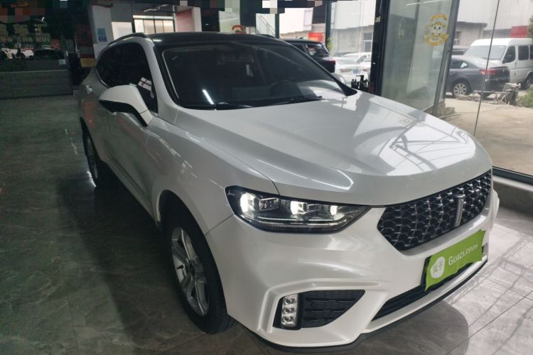 Used Wey VV5 2020 1.5T Two-Wheel Drive Color Pioneer
