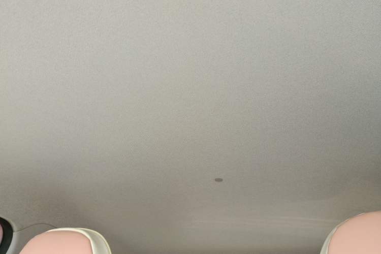 Used  Panda 2023 Panda Mini 200km Endurance Bear
