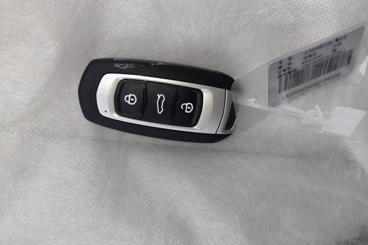 Used  Panda 2025 210 km – Yuanqi Bear
