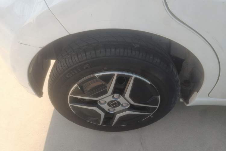 Used SOL E10X 2022 Flower Fairy Design Four-Leaf Clover