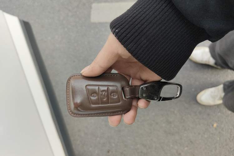 Used Volkswagen Teramont 2019 330TSI Two-Wheel-Drive Luxury Edition China VI Standard